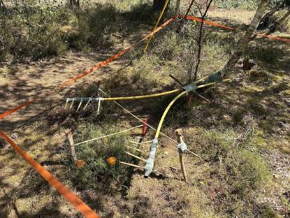 Image of bow and arrows at CCF camp