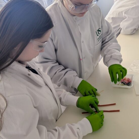 Students conducting experiments at the Celebrating Women in STEM events of 2026