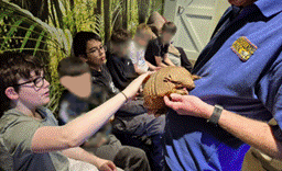Students getting a chance to pet an armadillo