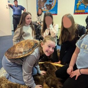 Students interacting with turtles